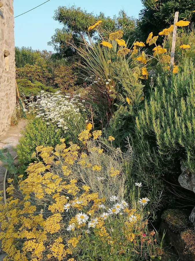 Plozévet La Tour Du Bois Dormant B&B